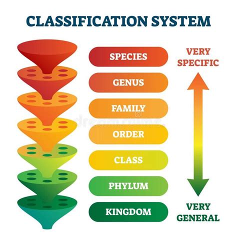 Classification Systems.
